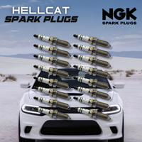 Hellcat Spark Plugs