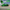 2021-2023 Dodge Charger Hellcat Redeye Tune