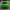 Jeep Grand Cherokee Trackhawk Hyper Pack