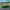 Dodge Challenger Hellcat Redeye Super Pack