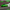 Dodge Charger/Challenger Hellcat Hyper Pack